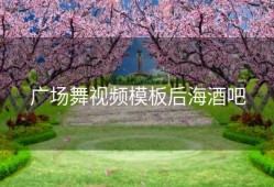 广场舞视频模板后海酒吧