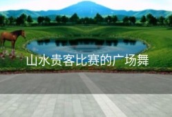 山水贵客比赛的广场舞