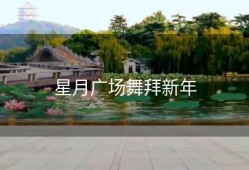 星月广场舞拜新年