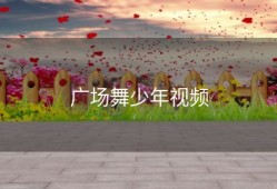 广场舞少年视频