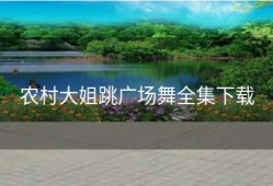 农村大姐跳广场舞全集下载