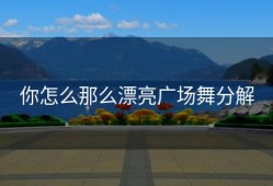 你怎么那么漂亮广场舞分解