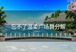 忘不了温柔广场舞分解