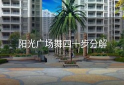 阳光广场舞四十步分解