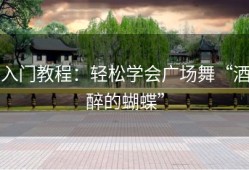 入门教程：轻松学会广场舞“酒醉的蝴蝶”