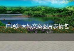 广场舞大妈文案图片表情包