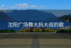 沈阳广场舞大妈大叔的歌