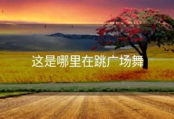 这是哪里在跳广场舞