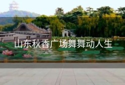 山东秋香广场舞舞动人生