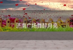济南广场舞醉月亮