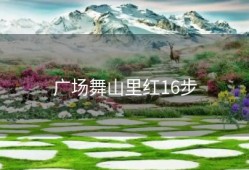 广场舞山里红16步