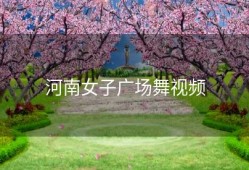 河南女子广场舞视频