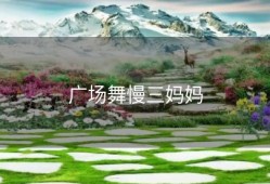 广场舞慢三妈妈
