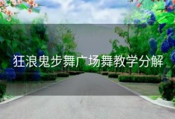 狂浪鬼步舞广场舞教学分解