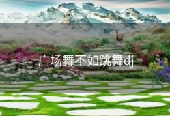 广场舞不如跳舞dj