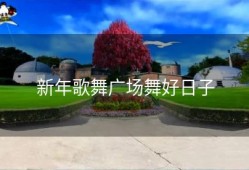 新年歌舞广场舞好日子