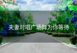 夫妻对唱广场舞为你等待