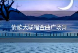 情歌大联唱金曲广场舞