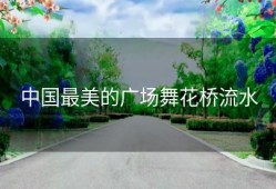 中国最美的广场舞花桥流水