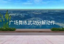 广场舞练武功分解动作