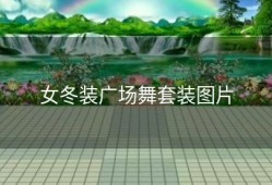 女冬装广场舞套装图片