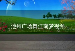 池州广场舞江南梦视频