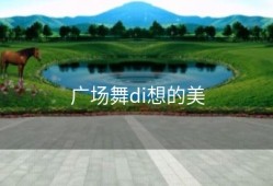 广场舞di想的美