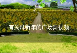 有关拜新年的广场舞视频