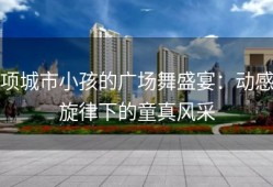 项城市小孩的广场舞盛宴：动感旋律下的童真风采
