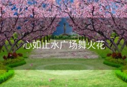 心如止水广场舞火花