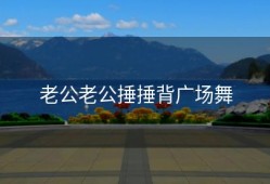 老公老公捶捶背广场舞