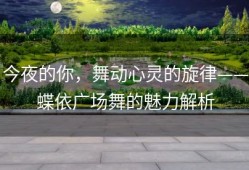 今夜的你，舞动心灵的旋律——蝶依广场舞的魅力解析