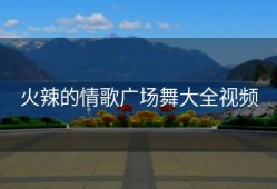 火辣的情歌广场舞大全视频