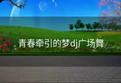 青春牵引的梦dj广场舞