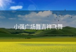 小强广场舞吉祥飞舞
