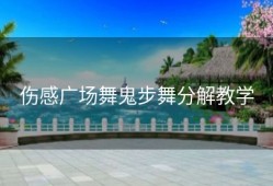 伤感广场舞鬼步舞分解教学