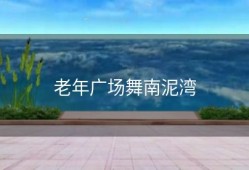 老年广场舞南泥湾