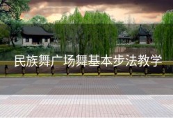 民族舞广场舞基本步法教学