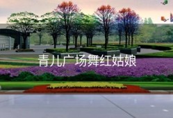 青儿广场舞红姑娘