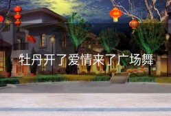 牡丹开了爱情来了广场舞