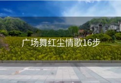 广场舞红尘情歌16步