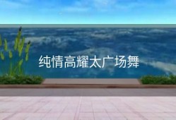 纯情高耀太广场舞