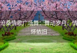 沧桑情歌广场舞：舞动岁月，情怀依旧