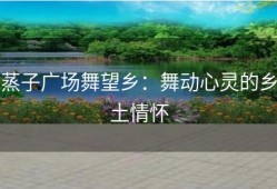 蒸子广场舞望乡：舞动心灵的乡土情怀