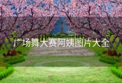 广场舞大赛阿姨图片大全