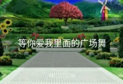 等你爱我里面的广场舞