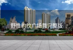 野性豹纹广场舞完整版