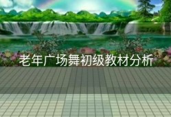 老年广场舞初级教材分析