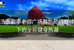 洗衣歌李老师广场舞：动感旋律下的全民健身热潮