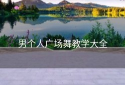 男个人广场舞教学大全